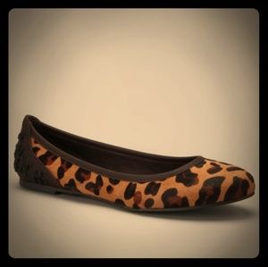 Calvin Klein Jean's Leopard Print Haircalf Robin Ballet Flats.